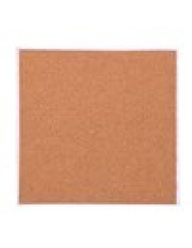 Rose e Tulipani·country Life Sottopentola Fichi D'india 20x20 Cm in Gift Box