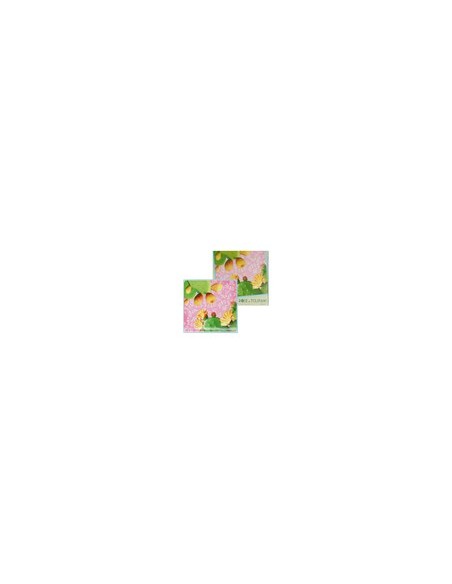 Rose e Tulipani·country Life Sottopentola Fichi D'india 20x20 Cm in Gift Box