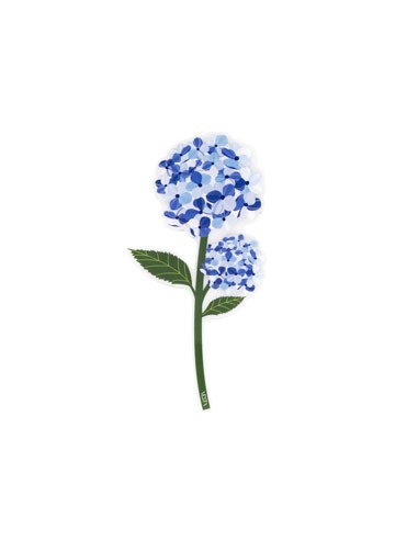 Vesta Home - Bomboniera - Ortensia Kit 6 Pz·blu·10,6 X 21 H Th. 3 Mm