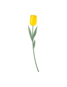 Vesta Home - Fiore Tulipano Grande Kit 6 Pz Funny Flowers·giallo·10,4 X 59 H Th. 5 Mm