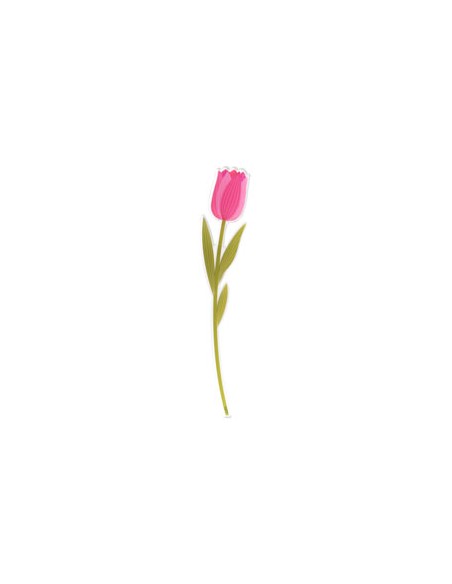 Vesta Home - Fiore Tulipano Piccolo Kit 6 Pz Funny Flowers·rosa·8,1 X 42 H Th. 5 Mm