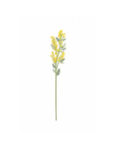Vesta Home - Fiore Mimosa Grande Singolo·giallo·12 X 56,5 H Th. 5 Mm