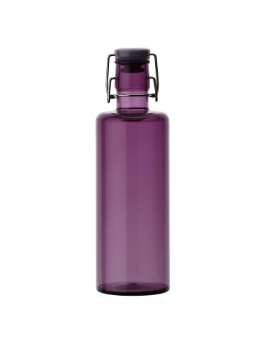 Rose e Tulipani·color Life Bottiglia Purple 1 Lt·1 L·acrilico