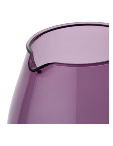 Rose e Tulipani·color Life Brocca Purple 2,50 Lt·2,50 L·acrilico