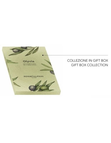Rose e Tulipani· Olyvia Poggiamestoli·24.6x10xh2 Cm·melamina Gift Box