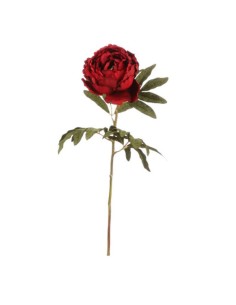 Peonia effetto velluto rosso granata
