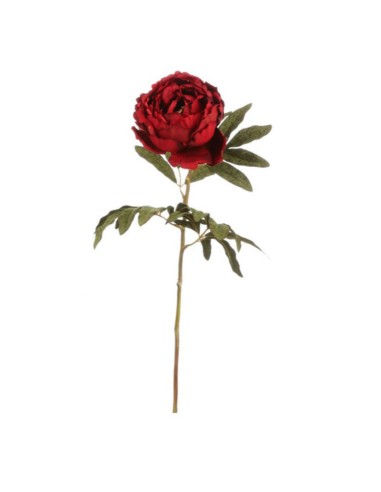 Peonia effetto velluto rosso granata