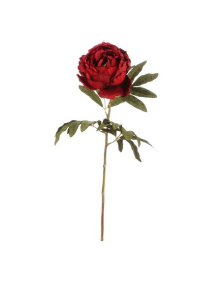 Peonia effetto velluto rosso granata