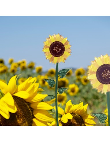Vesta Home - Fiore Girasole Piccolo Kit 6 Pz Funny Flowers·giallo·10 X 43 H Th. 5 Mm