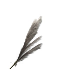 Fiori di Lena - Pampas grigio perla cm 112 h