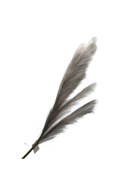 Fiori di Lena - Pampas grigio perla cm 112 h