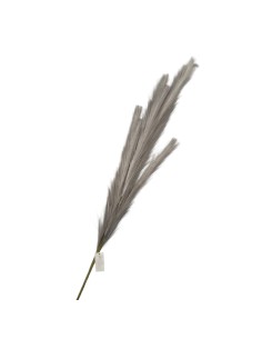 Fiori di Lena - Pampas grigio perla cm 112 h 2
