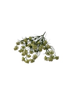 Fiori di Lena - Bush nebbiolina cm 53 h