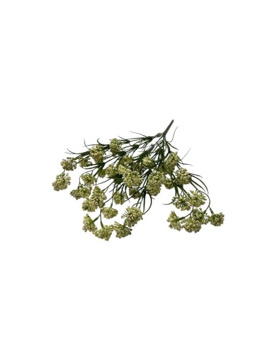 Fiori di Lena - Bush nebbiolina cm 53 h