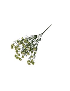 Fiori di Lena - Bush nebbiolina cm 53 h 2