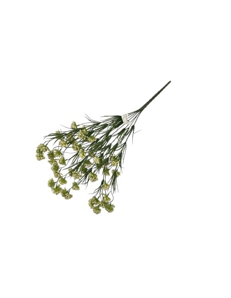 Fiori di Lena - Bush nebbiolina cm 53 h