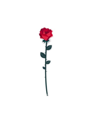 Vesta Home - Fiore Rosa Grande Kit 6 Pz Funny Flowers·rosso·12 X 56,3 H Th. 5 Mm