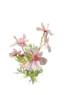 Fiori di Lena - Bush margherite rosa cm 70 h 2