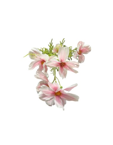 Fiori di Lena - Bush margherite rosa cm 70 h
