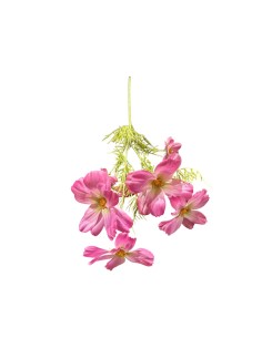 Fiori di Lena - Bush margherite fucsia cm 70 h 2