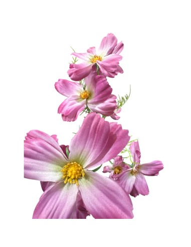 Fiori di Lena - Bush margherite fucsia cm 70 h