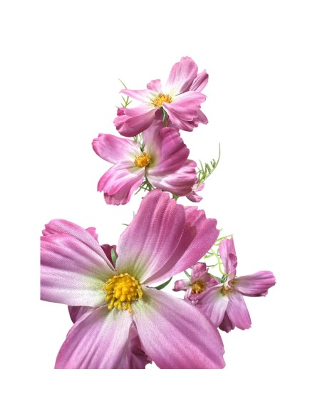 Fiori di Lena - Bush margherite fucsia cm 70 h