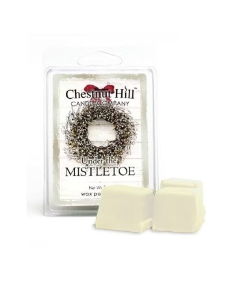 CHESTNUT HILL Candles Cera di soia profumata 85 g UNDER THE MISTLETO