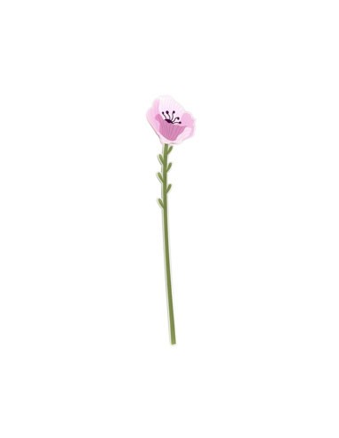 Vesta Home - Fiore Petunia Grande Kit 6 Pz Funny Flowers·viola·12 X 57,5 H Th. 5 Mm