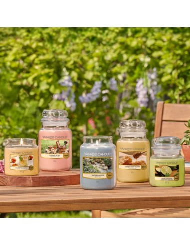 Yankee Candle - Giara Media Calamansi Cocktail