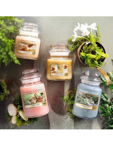 Yankee Candle - Giara Media Calamansi Cocktail