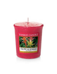 Yankee Candle - Candela Sampler Tropical JungleVotive