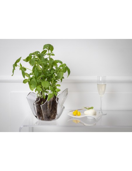 iPLEX - Vaso linea Drappeggi in plexiglass Trasparente drappeggiato a mano Made in Italy - arredamento casa ufficio studio fiori