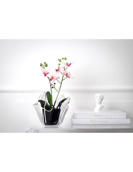 iPLEX - Vaso linea Drappeggi in plexiglass Trasparente drappeggiato a mano Made in Italy - arredamento casa ufficio studio fiori