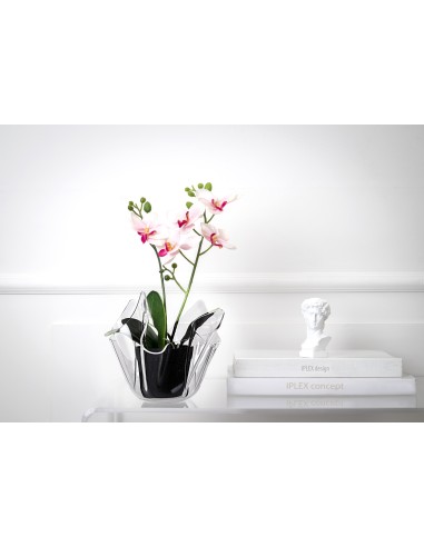 iPLEX - Vaso linea Drappeggi in plexiglass Trasparente drappeggiato a mano Made in Italy - arredamento casa ufficio studio fiori