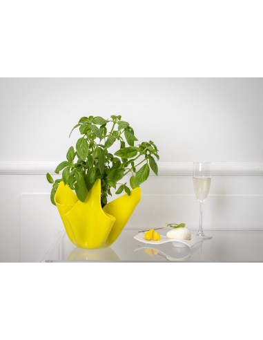 iPLEX - Vaso linea Drappeggi in plexiglass giallo pieno drappeggiato a mano Made in Italy - arredamento casa ufficio studio fior