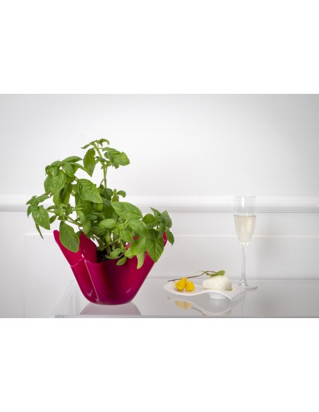 iPLEX - Vaso linea Drappeggi in plexiglass fucsia pieno drappeggiato a mano Made in Italy - arredamento casa ufficio studio fior