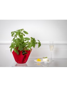 iPLEX - Vaso linea Drappeggi in plexiglass rosso pieno drappeggiato a mano Made in Italy - arredamento casa ufficio studio fiori 2