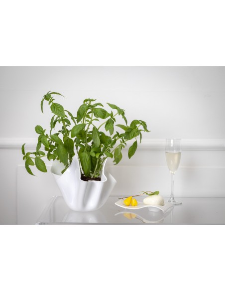 iPLEX - Vaso linea Drappeggi in plexiglass bianco pieno drappeggiato a mano Made in Italy - arredamento casa ufficio studio fior