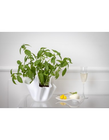 iPLEX - Vaso linea Drappeggi in plexiglass bianco pieno drappeggiato a mano Made in Italy - arredamento casa ufficio studio fior