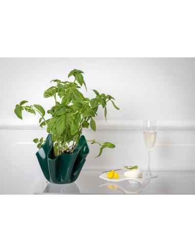 iPLEX - Vaso linea Drappeggi in plexiglass verde scuro pieno drappeggiato a mano Made in Italy - arredamento casa ufficio studio