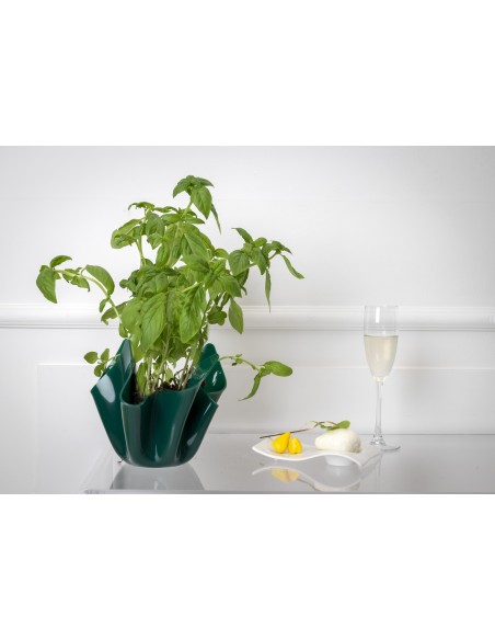 iPLEX - Vaso linea Drappeggi in plexiglass verde scuro pieno drappeggiato a mano Made in Italy - arredamento casa ufficio studio