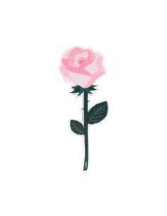 Vesta Home - Bomboniera - Rosa Rosa Kit 6 Pz·rosa·7,5 X 19,5 H Th. 3 Mm