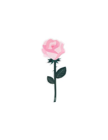 Vesta Home - Bomboniera - Rosa Rosa Kit 6 Pz·rosa·7,5 X 19,5 H Th. 3 Mm