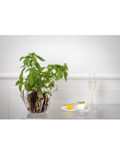iPLEX - Vaso linea Drappeggi in plexiglass multicolore drappeggiato a mano Made in Italy - arredamento casa ufficio studio fiori 2