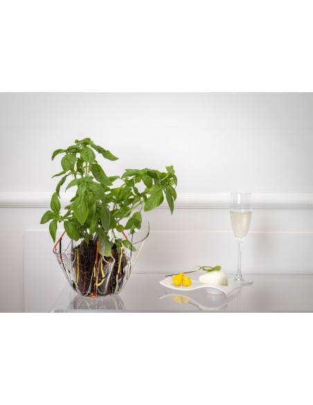 iPLEX - Vaso linea Drappeggi in plexiglass multicolore drappeggiato a mano Made in Italy - arredamento casa ufficio studio fiori