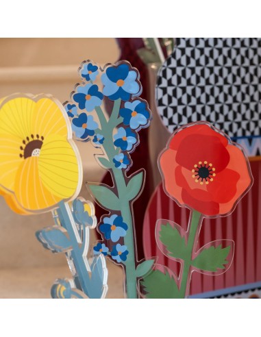 Vesta Home - Fiore Nontiscordardime Piccolo Kit 6 Pz Funny Flowers·azzurro·8 X 46,5 H Th. 5 Mm