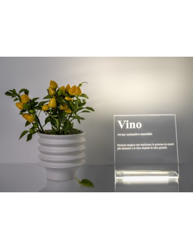 Lucilio Lampada Vino in plexiglass