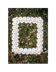 Tiguardo Portafoto 13x18 Pizzo Cipria Resina 21.10x2.20x25.90 Cm 2