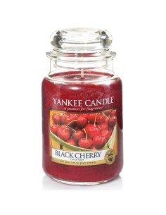 Candela In Giara Grande Black Cherry
