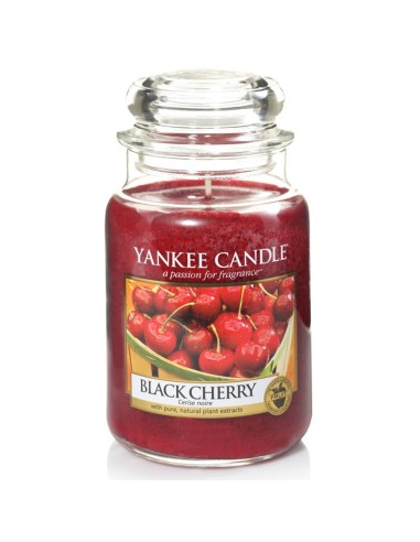 Candela In Giara Grande Black Cherry